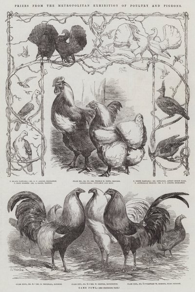 Premios de la Exposición Metropolitana de Aves de Corral y Palomas de Harrison William Weir